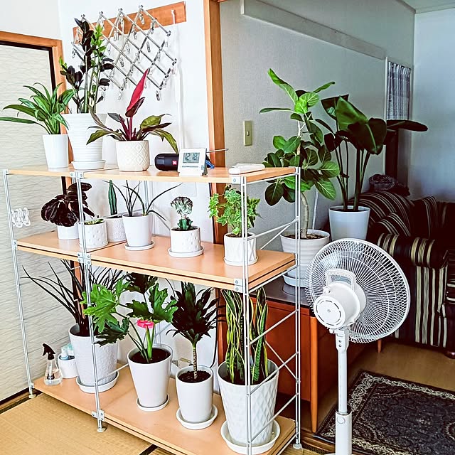 hanachanさんの部屋