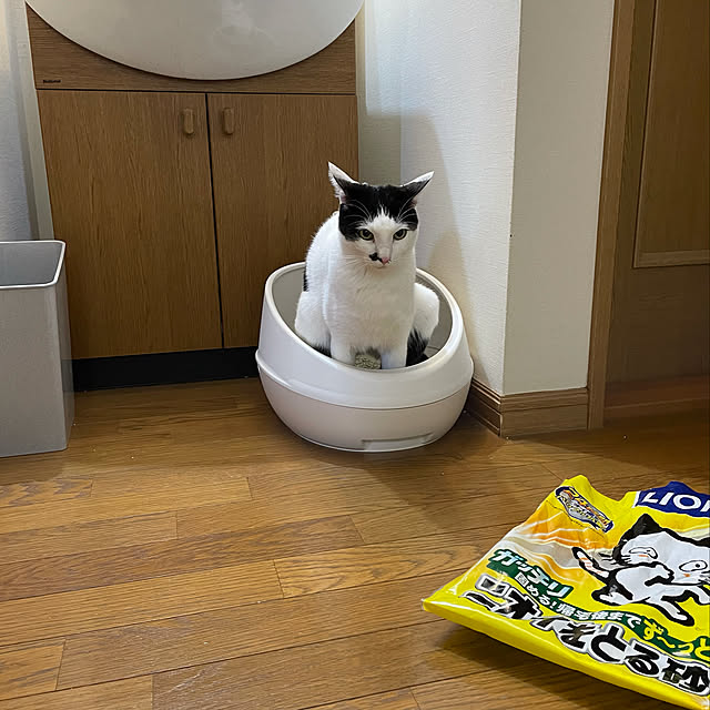nobikoさんの実例写真