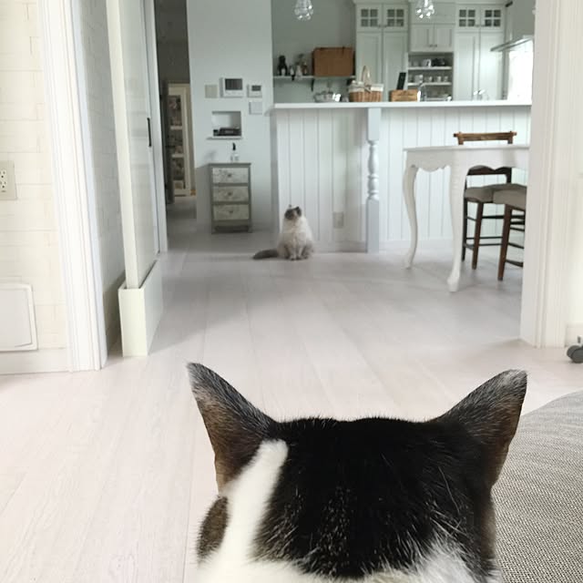 yuchiさんの実例写真
