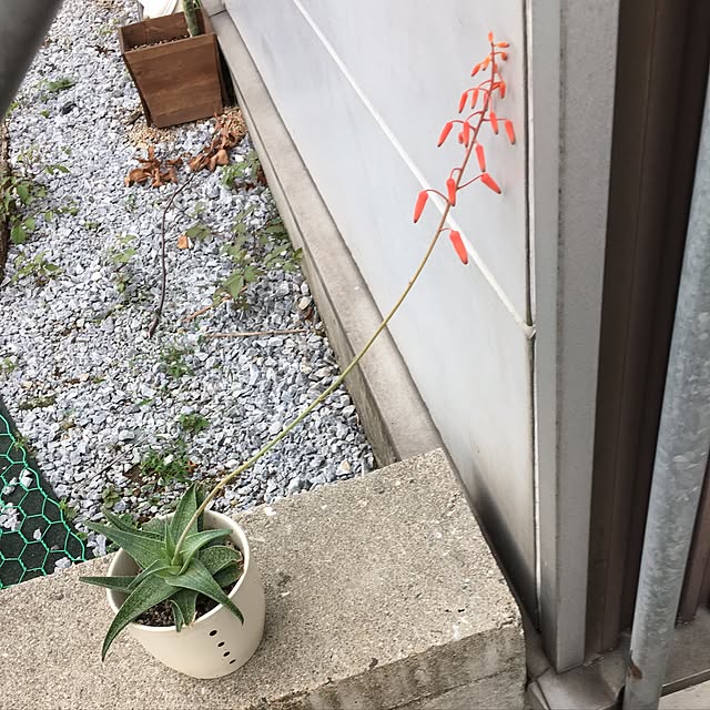 kou-kitiさんの実例写真