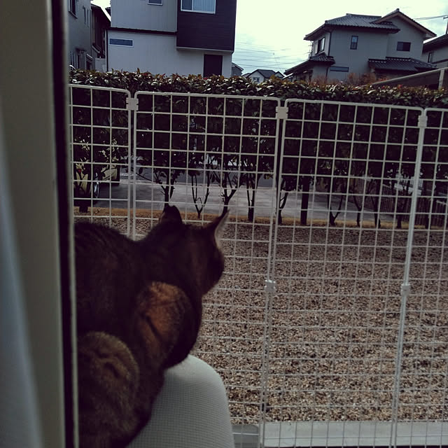 lilyさんの実例写真