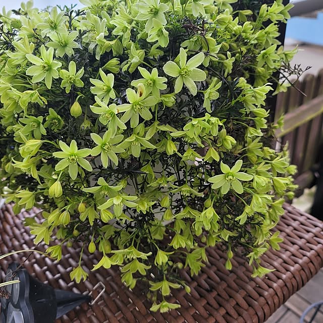 VIORAさんの部屋