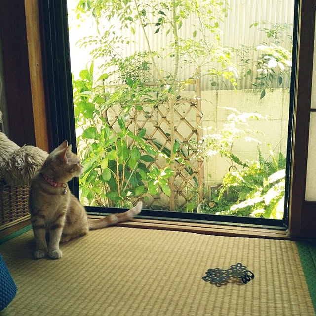 fruityanさんの実例写真