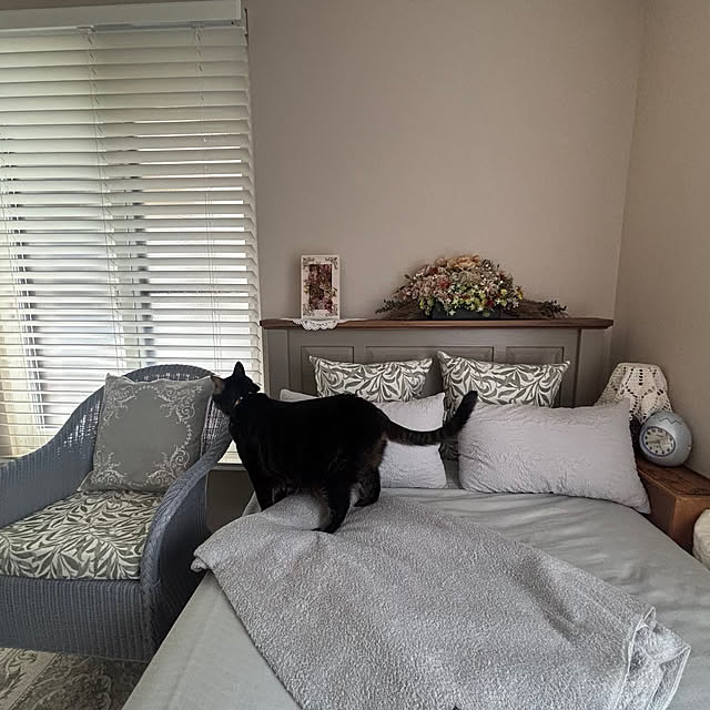 momocchiさんの部屋