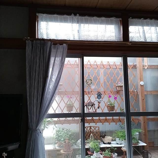 momijiさんの部屋
