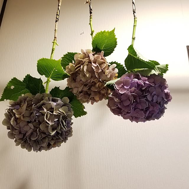 midoriさんの部屋