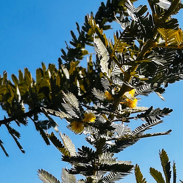 megmilkさんの部屋