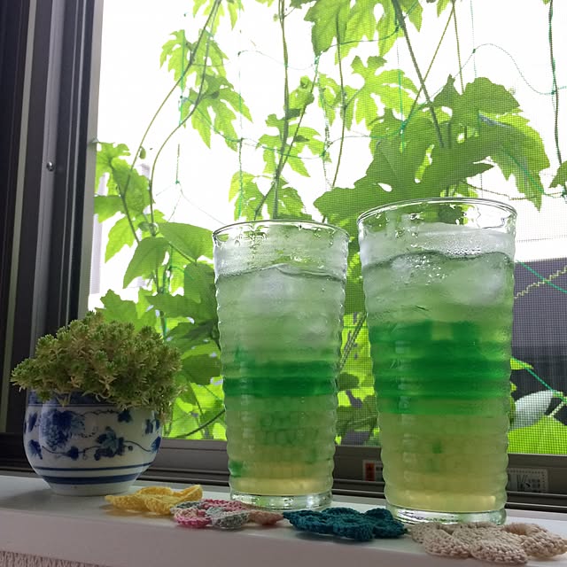 キッチン/ゴーヤー/多肉植物のインテリア実例 - 2016-07-04 11:11:25