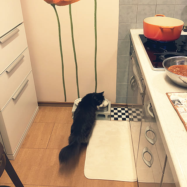 kanaさんの実例写真