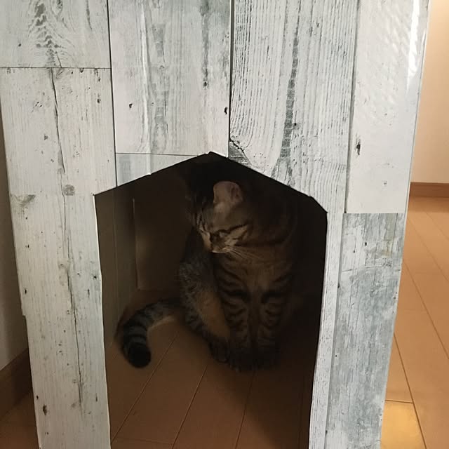 baronkotarouさんの実例写真