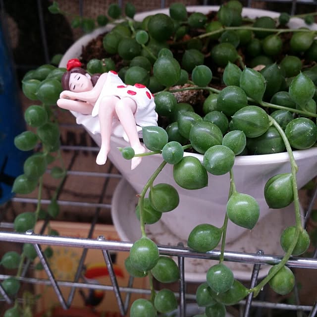 kanaさんの実例写真