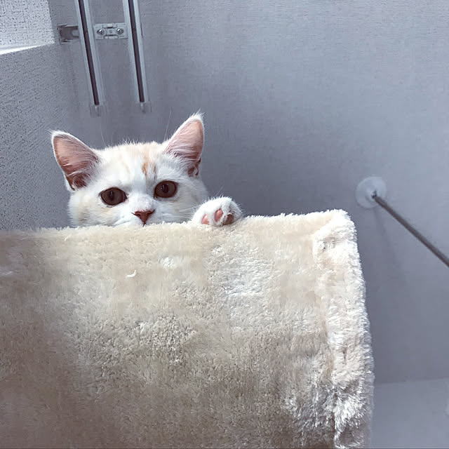H.Tさんの実例写真