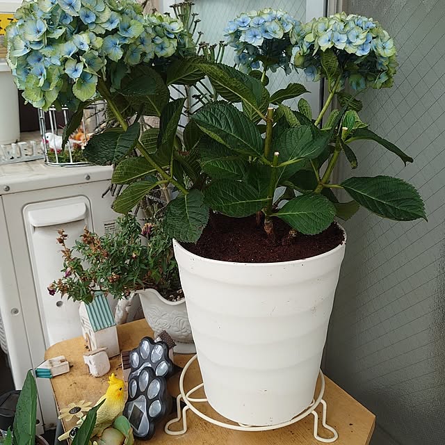 toramamaさんの部屋