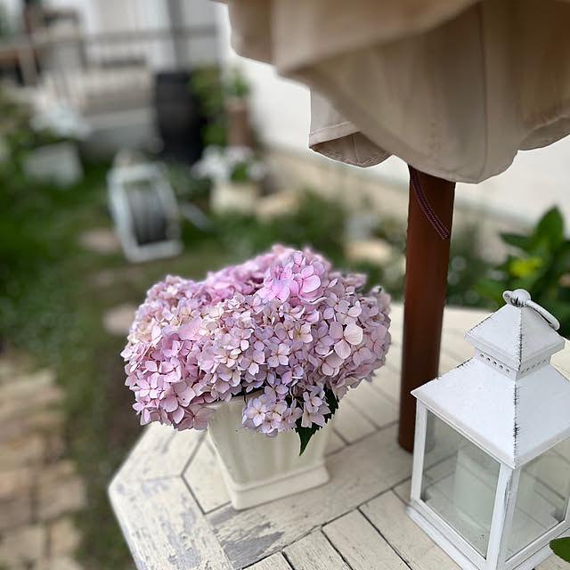 sakuraさんの部屋