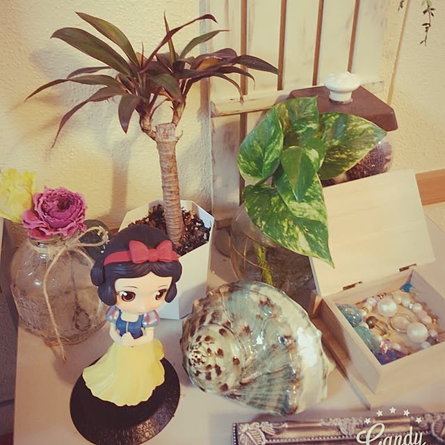 tonchanさんの実例写真