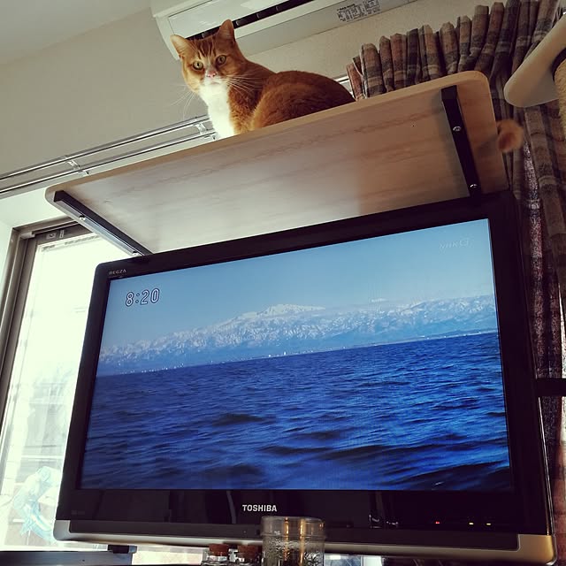 camomile326さんの実例写真