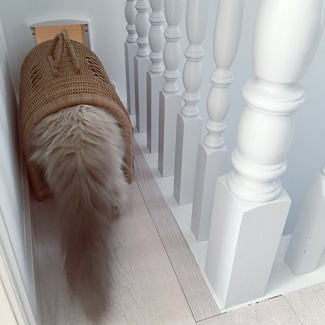 yuchiさんの実例写真
