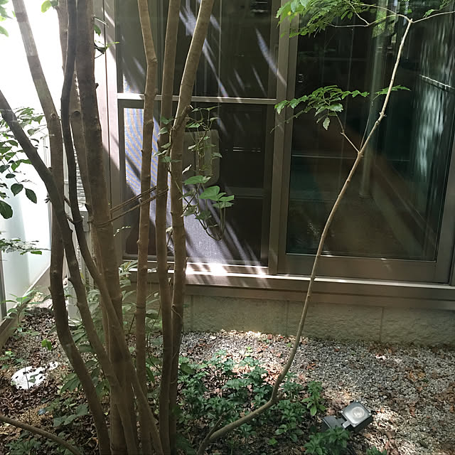 leiさんの実例写真