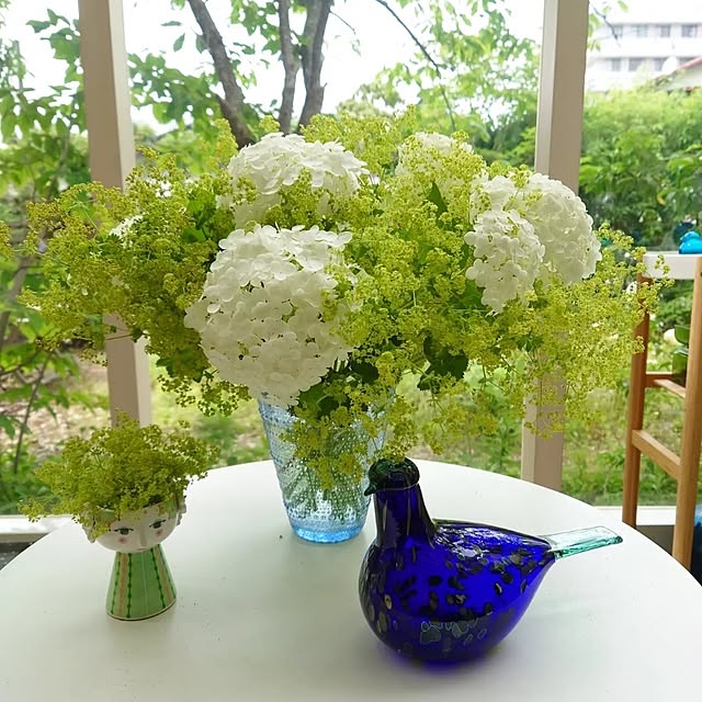asmaさんの部屋