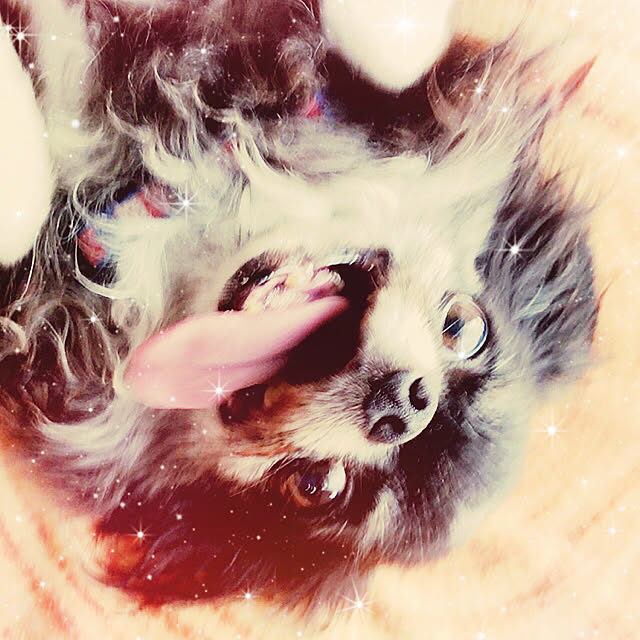 jamberryさんの実例写真