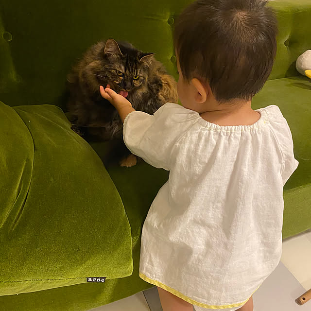 mikomaruさんの実例写真