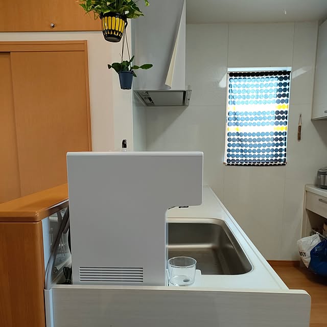 reguさんの部屋