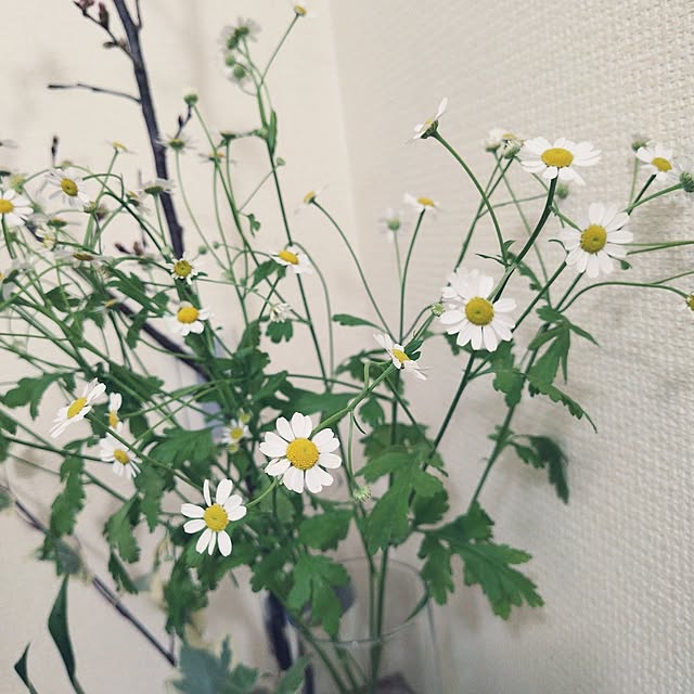 hopkeiさんの実例写真