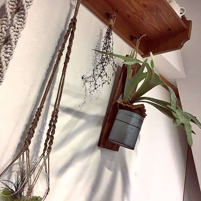 Jepsen.Dさんの実例写真