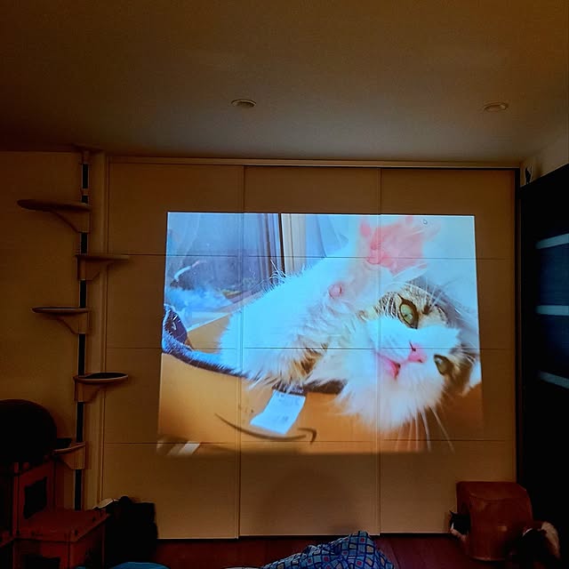 akiko6193さんの部屋