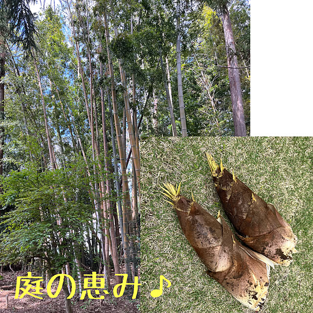 Hannahさんの実例写真