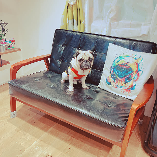 fujiさんの実例写真