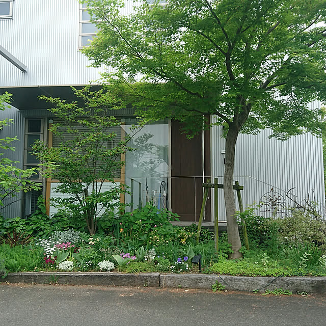 asmaさんの実例写真