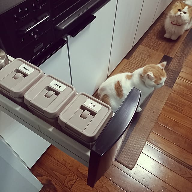 amutantanさんの実例写真