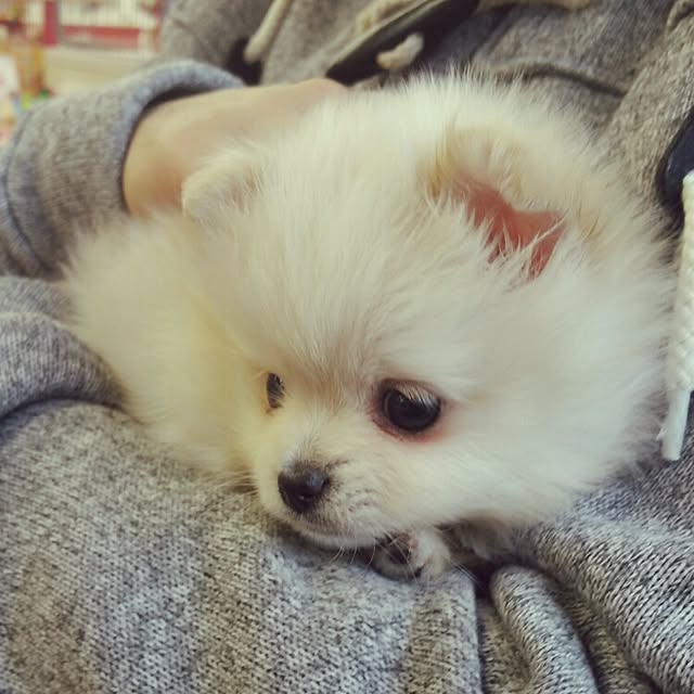 soraさんの実例写真