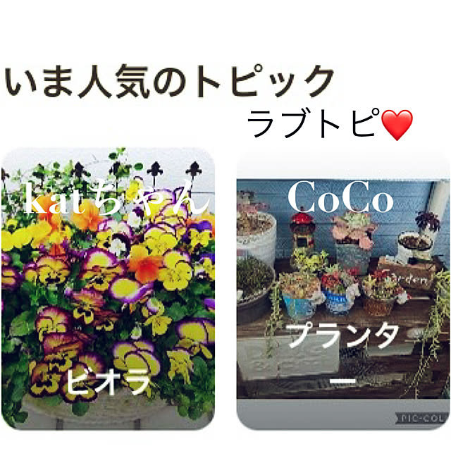 CoCo0617さんの実例写真