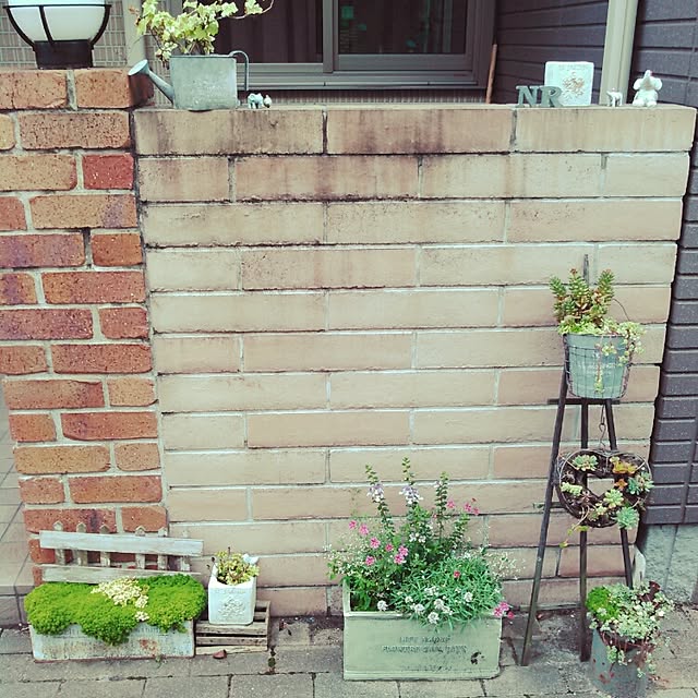 sarieさんの実例写真