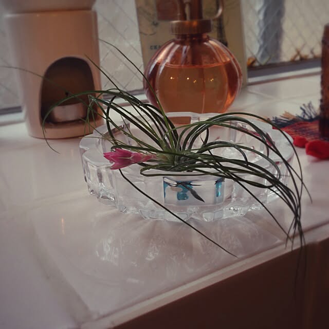 aiさんの実例写真