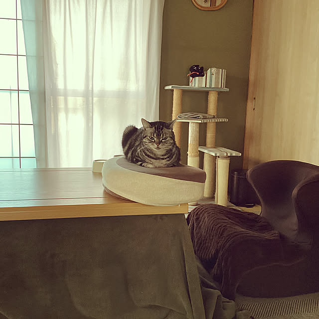 richanさんの実例写真