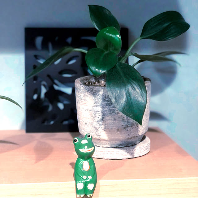 rromomo1さんの実例写真