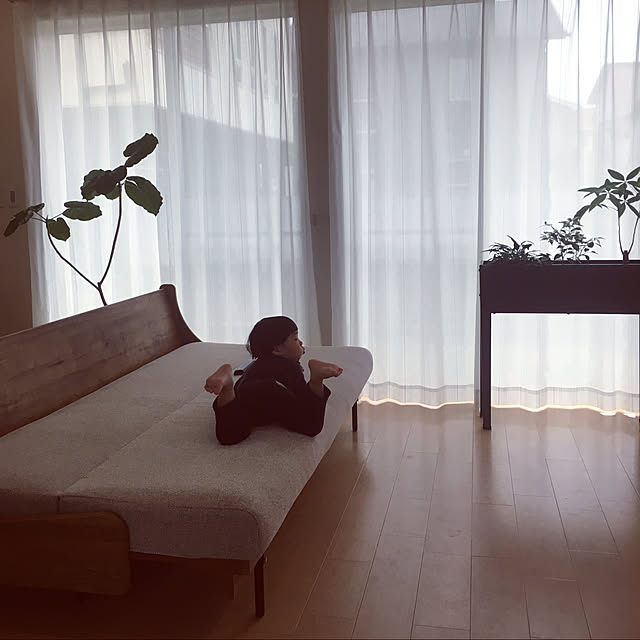 riiさんの実例写真