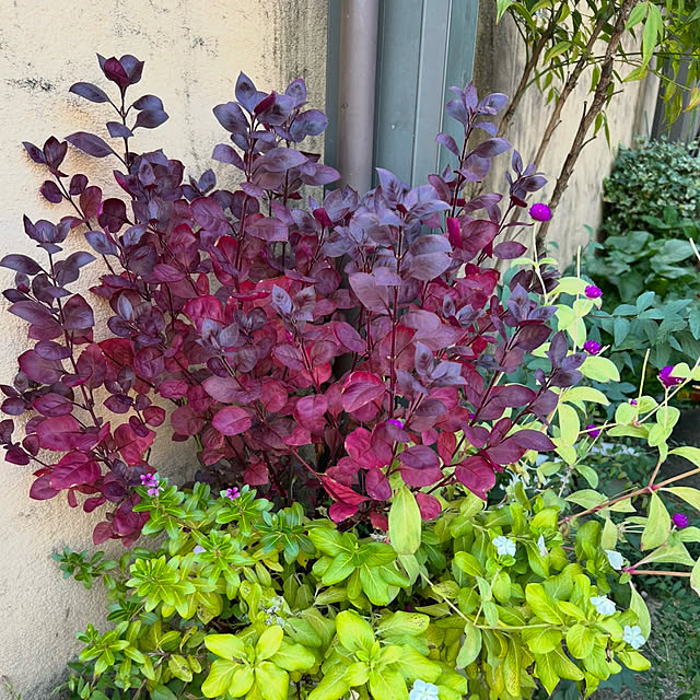 fumikoiさんの部屋