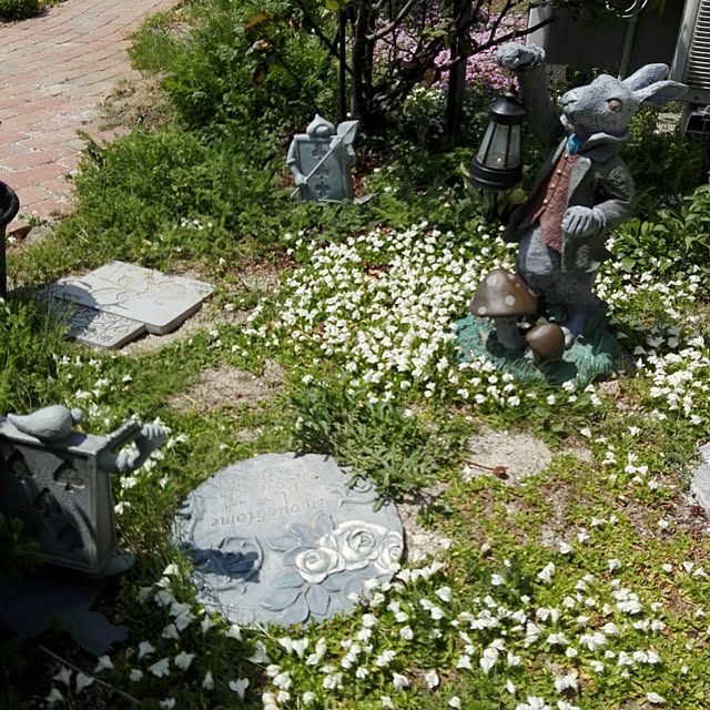 noraさんの実例写真