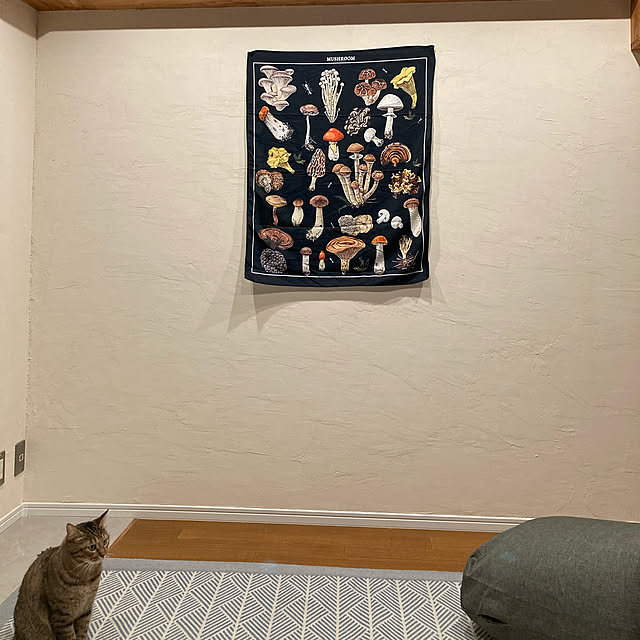 tokotokoさんの実例写真