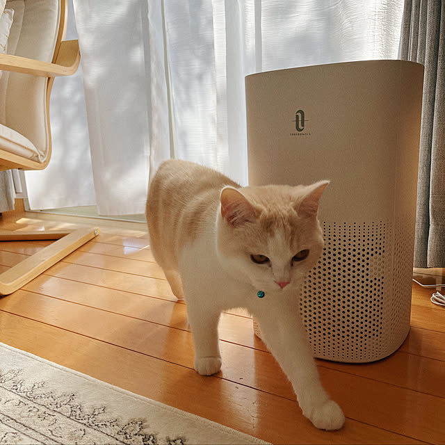 madeleineさんの実例写真