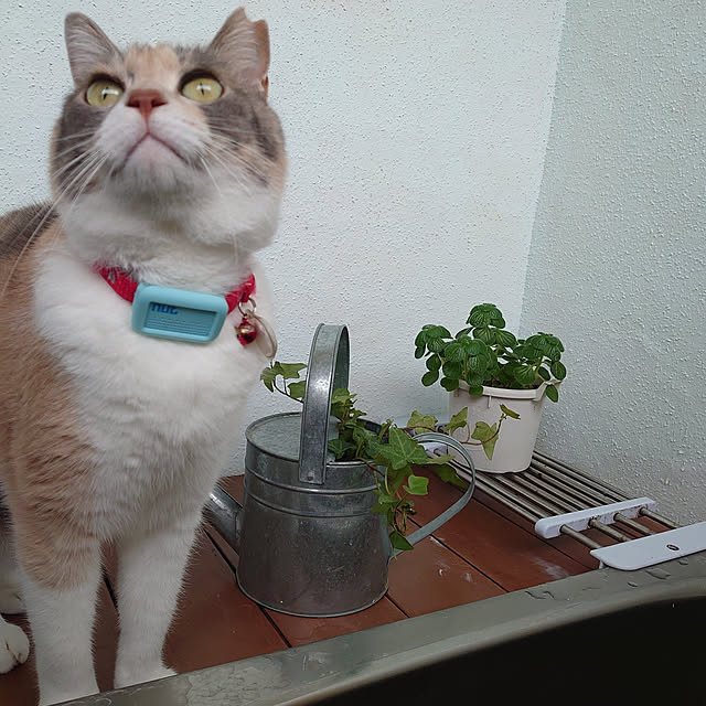 fukuさんの実例写真