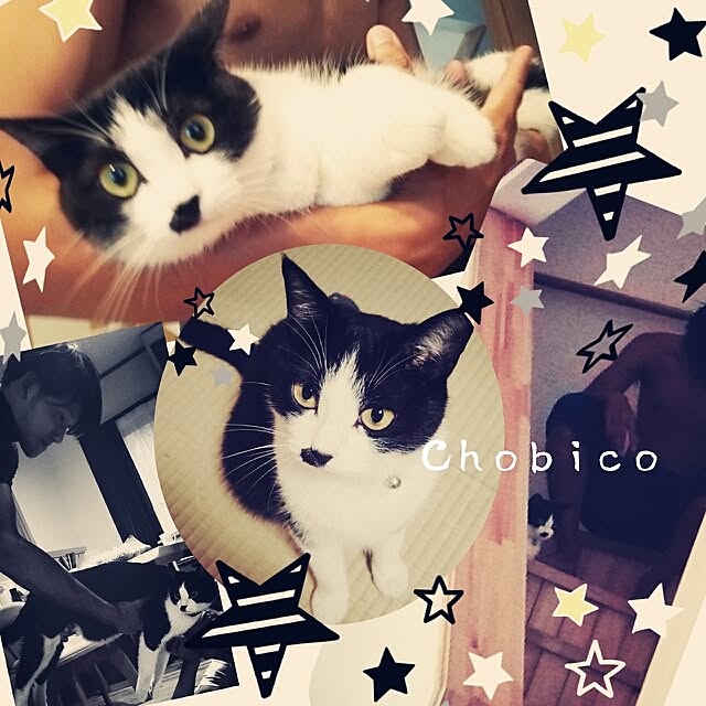 Chomeakiさんの実例写真
