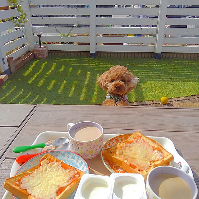 chipinoさんの実例写真