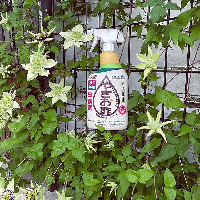 yupponさんの実例写真