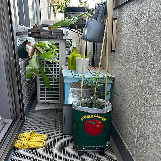 mikomaruさんの実例写真