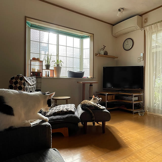 nobikoさんの部屋